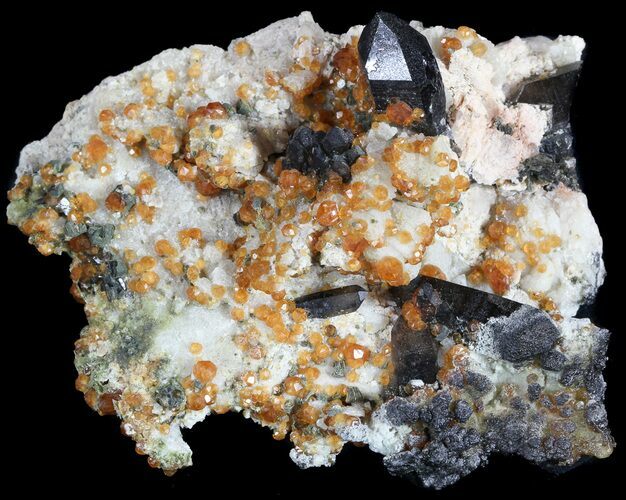 Dark Smoky Quartz Crystals with Spessartine Garnets #51035